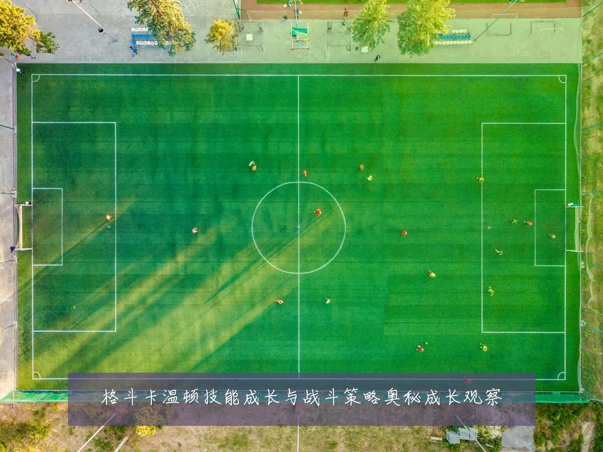 格斗卡温顿技能成长与战斗策略奥秘成长观察