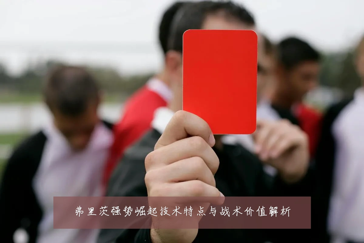 弗里茨强势崛起技术特点与战术价值解析